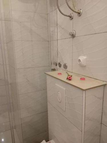 a white bathroom with a shower and a sink at Apartment Green view in Slime