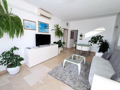 Apartment Eva