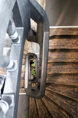 une plante dans une jardinière dans un mur dans l'établissement Dijon Hypercentre - Loge Des Ducs, à Dijon