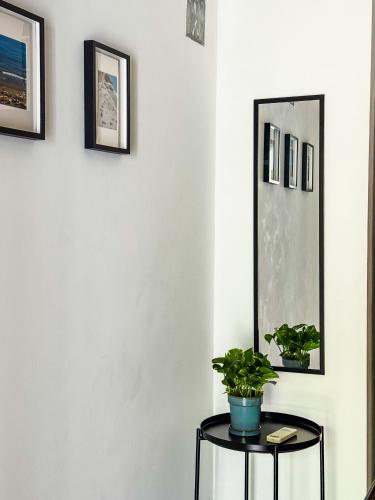 a mirror and a table with a plant on it at Casa Petra in Itri