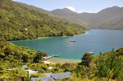 a view of a bay with boats in the water at Punga Cove Resort in Endeavour Inlet
