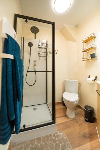 une salle de bain avec douche et toilettes dans l'établissement Les cols, à Sainte-Marie-de-Cuines