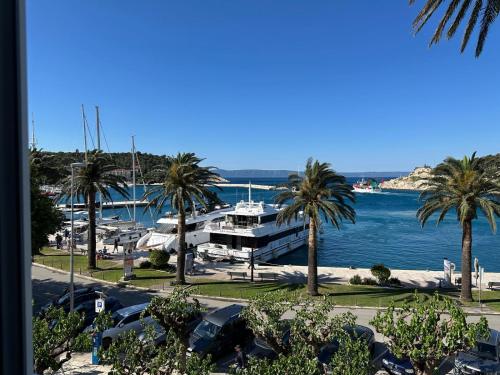 a boat is docked in a marina with palm trees at Palma Gena Makarska in Makarska