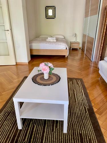 Apartment 9 minutes from Lausanne Train statio