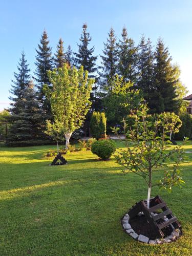 Zahrada ubytování Apartmani Nika Zlatibor