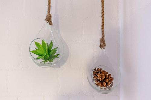 two glass hanging vases and a plant in a pot at Englmar Apartments with free WELLNESS and FITNESS in Sankt Englmar