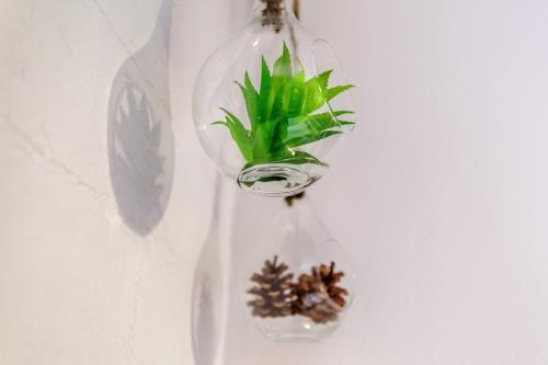a glass vase with a plant and pine cones in it at Englmar Apartments with free WELLNESS and FITNESS in Sankt Englmar
