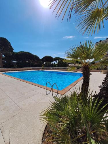 - une piscine bordée d'un palmier dans l'établissement La P'tite Cigale, à Hyères