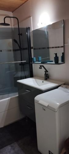 une salle de bain avec un lavabo et une baignoire dans l'établissement LOCATION SAISONNIERE VILLEJUIF à 15 MIN en voitur DE PARIS, à Villejuif