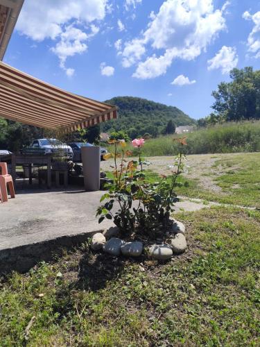 une plante dans un tas de pierres dans une cour dans l'établissement Maison vintage avec piscine, à Chanaz