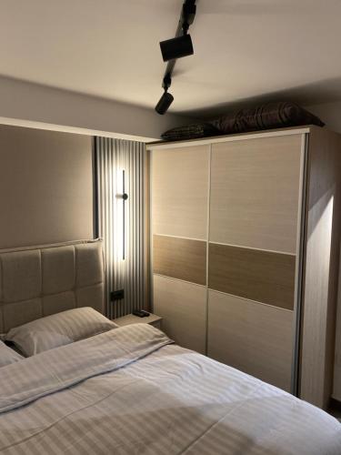 a bedroom with a bed and a large closet at Vanessa Apartment in Budva