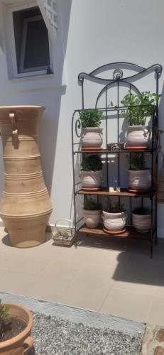Fotografie z fotogalerie ubytování Casa di Mare Stegna v destinaci Archangelos
