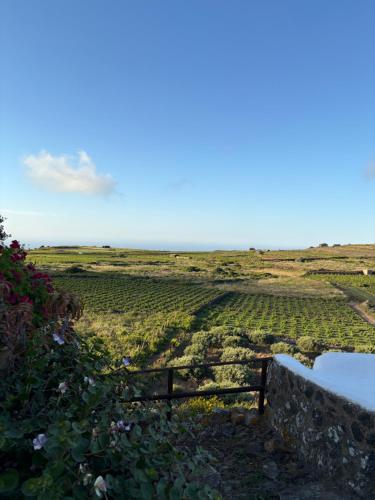 a view of a vineyard with a fence in a field at Dammuso del Nonno in Pantelleria