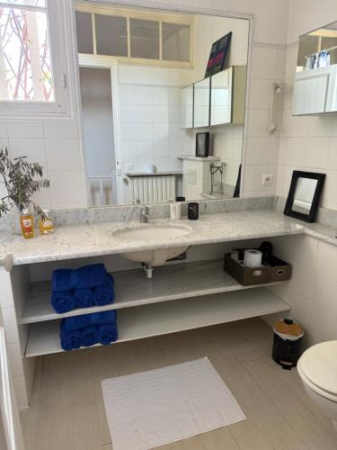 une salle de bain avec un lavabo et des toilettes dans l'établissement Maison Antibes, à Antibes