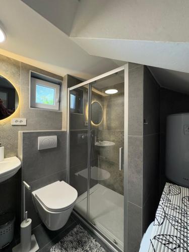 a bathroom with a shower and a toilet and a sink at Holiday house Belavista in Novi Vinodolski