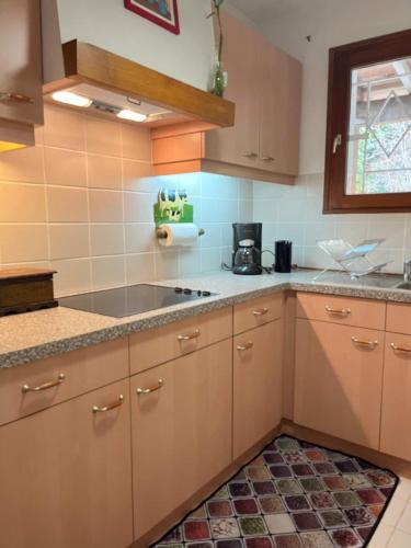 une cuisine avec des armoires en bois et un comptoir dans l'établissement Best View , Great House, à Montmeyran