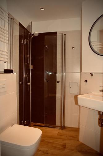a bathroom with a shower and a toilet and a sink at Apartment in Berlin-Köpenick in Berlin