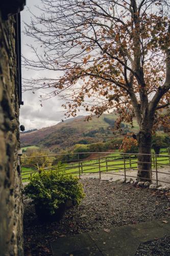 a tree and a fence with a hill in the background at Cosy Underfloor Heated 17th Century Renovated Mill with Stunning Views - Ty Felin in Beddgelert