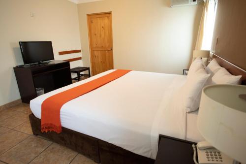 a bedroom with a large bed and a television at Casa Andina Standard Nasca in Nazca