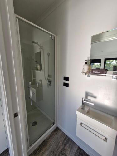 un baño con ducha y lavabo en Ahuriri On The Park, en Napier