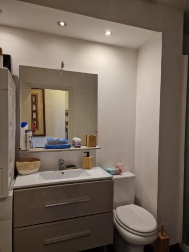 une salle de bain avec un lavabo, des toilettes et un miroir dans l'établissement Bright apartment 10 minutes from Cannes, au Cannet