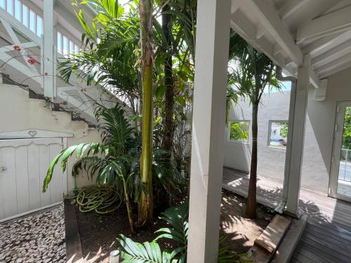 Direct Beach Access, Modern Stay with Hill Viewにあるバルコニーまたはテラス