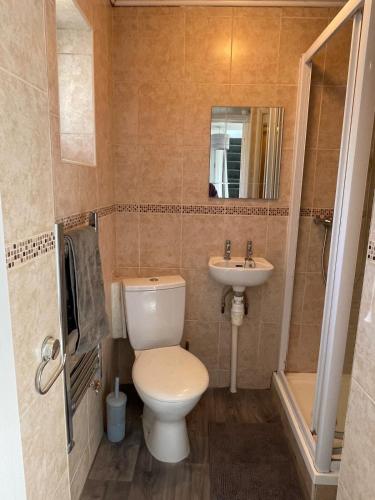 a bathroom with a toilet and a sink at Haven Vale in Stockton-on-Tees