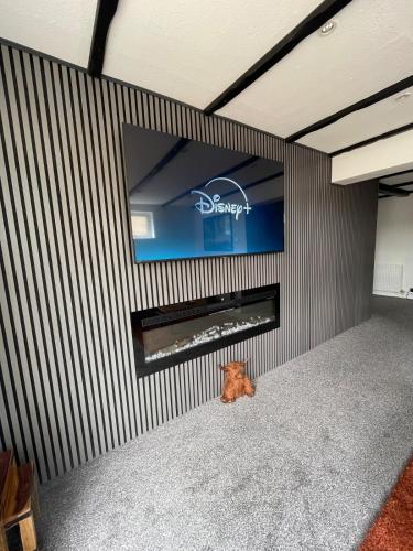 a cat sitting in a room with a fireplace at Haven Vale in Stockton-on-Tees