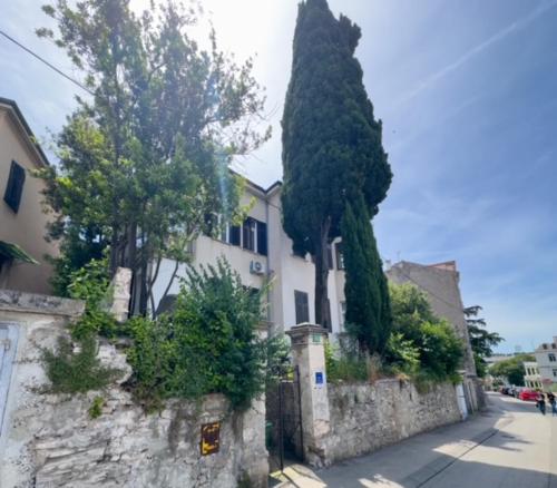 Apartman Edo 1