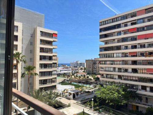 Garden - City Center - La Nogalera