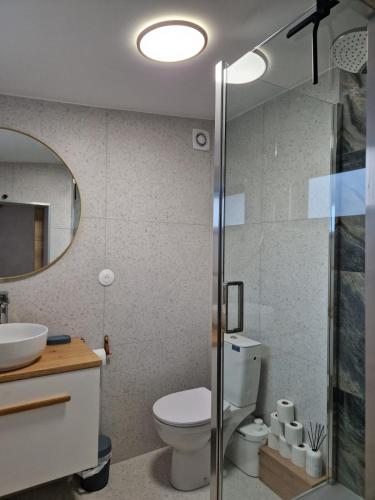une salle de bain avec toilettes, lavabo et miroir dans l'établissement Le Petit Blagnacais, à Blagnac