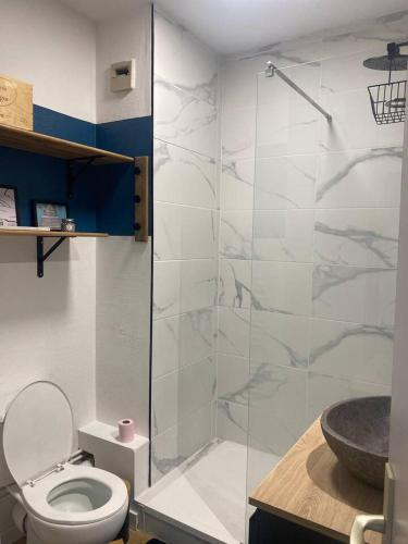 une salle de bain avec toilettes et douche en verre dans l'établissement Charmant studio d'Hardelot, à Neufchâtel-Hardelot