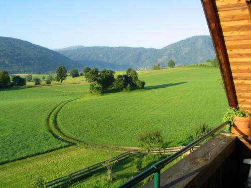 a view of a green field from a house at Lassacher Biobauernhof in Mariapfarr
