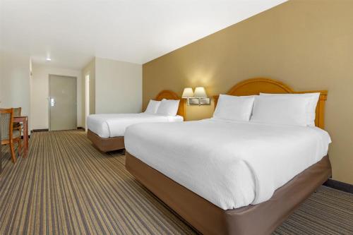 Katil atau katil-katil dalam bilik di Best Western East El Paso Inn