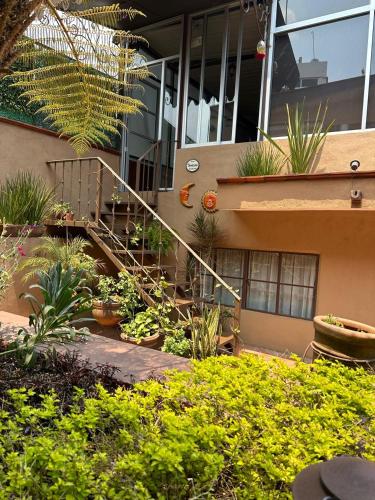 a garden in front of a building with plants at Casa de las Escaleras in Pátzcuaro