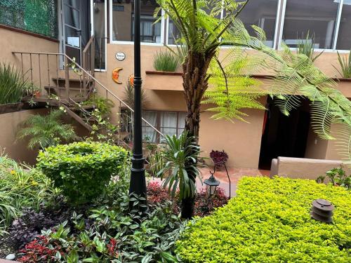 a garden with a palm tree and a light pole at Casa de las Escaleras in Pátzcuaro