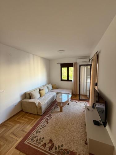 a living room with a couch and a tv at Apartman Dunja Bečići in Becici