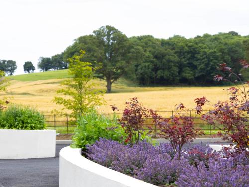 a garden with flowers and a field in the background at The Forest at Mount Congreve Gardens in Kilmeaden
