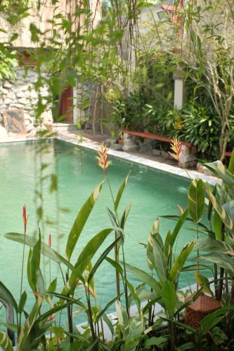 a swimming pool with green water and plants at 750sqm Private Pool-Villa Hue in Cồn Giả Viên