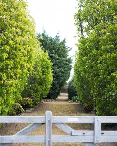 a white bench in front of some trees at Raffah House in Oatlands