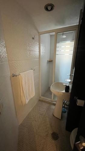 a bathroom with a shower and a sink at Bonito departamento tranquilo cerca de WTC in Mexico City