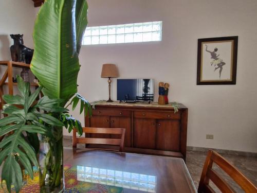 a dining room with a table and a plant at Bonpland departamentos in Puerto Iguazú