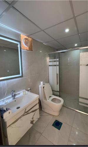 a bathroom with a toilet and a sink and a shower at Star Wars luxury camp in Wadi Rum