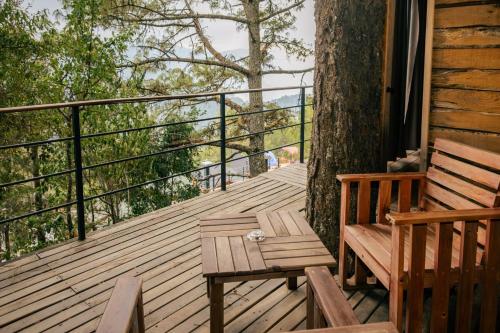 a wooden deck with a bench and a tree at Rocabosque oaxaca in San Mateo Río Hondo