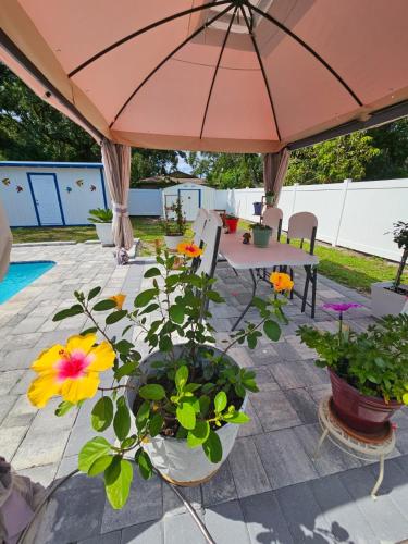 Ein Garten an der Unterkunft NICE PLACE Studio