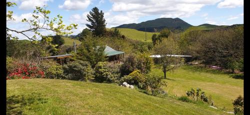 a house on top of a grassy hill at Rough Meadows - MTB Haven & Good Vibes Retreat in Rotorua