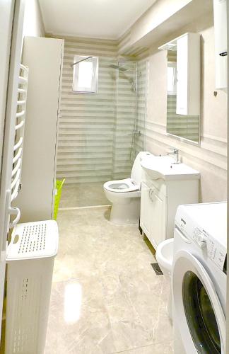 a bathroom with a toilet sink and a washing machine at Sweet Hilltop Escape in Zelenika