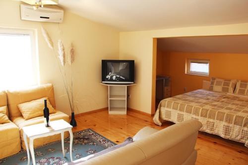 - un salon avec un canapé, une télévision et un lit dans l'établissement B&S Apartments, à Ohrid