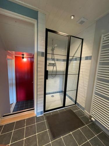 a walk in shower with a glass door in a bathroom at Huisje onder de Linden in Munnekeburen