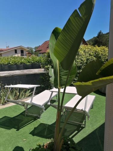 two chairs and a palm tree on a patio at Antica Quercia Apartment in Avigliana